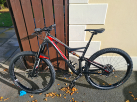 specialized roubaix ireland